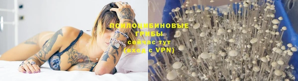 дживик Балабаново